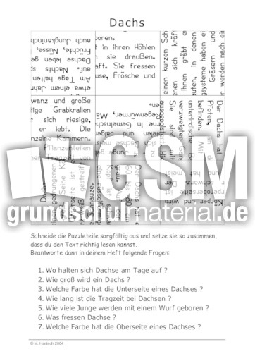Dachs.pdf